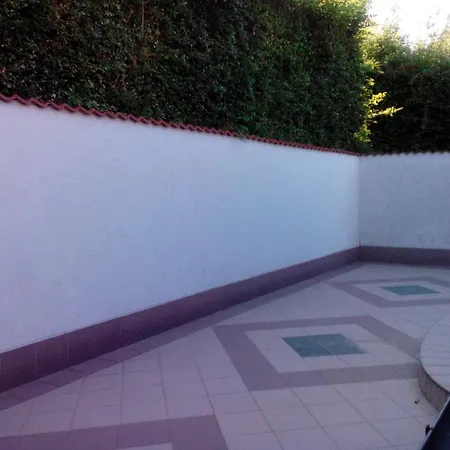 In - Balaton 18586 * Fonyód